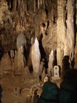 Img_dscf2876