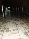 Img_dscf2885