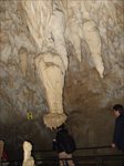 Img_dscf2892