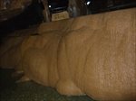Img_dscf2902