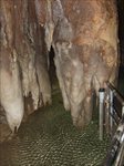 Img_dscf2904