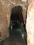 Img_dscf2905