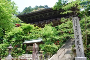 Shoshazan Engyo-ji Temple